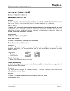 Maladies infectieuses - Coxsackie (infection à)