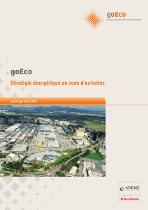 Stratégie énergétique en zone d`activités