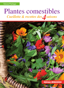 Plantes comestibles