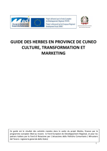 guide des herbes en province de cuneo culture