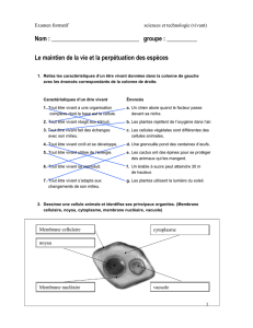 Les propriétés de la matière