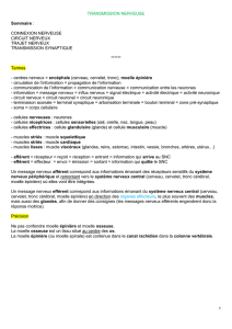 consulter le document Transmission Nerveuse