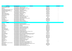 Catalogue pe´pi.xlsx