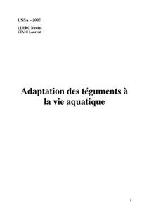 Adaptation des téguments à la vie aquatique