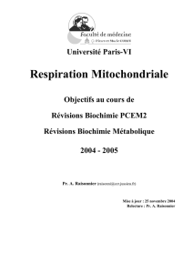 Respiration Mitochondriale