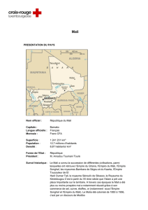 PRESENTATION DU PAYS Nom officiel : République du Mali