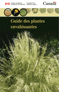 Guide des plantes envahissantes - Publications du gouvernement