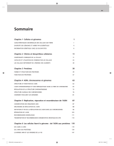 Sommaire 4 pages (1.3Mo)