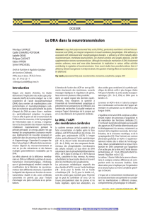Le DHA dans la neurotransmission
