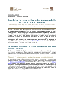 Installation de cuivre antibactérien à grande échelle en France : une