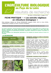 FICHE PRATIQUE – « Les extraits végétaux en viticulture biologique »