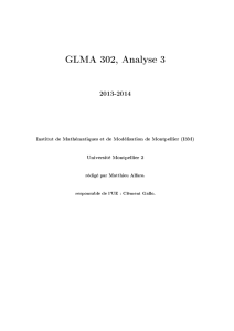 GLMA 302, Analyse 3