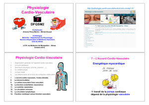 Physio CV partie 2 - UE CardioVasculaire DFGSM2