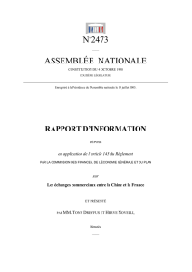 rapport d`information