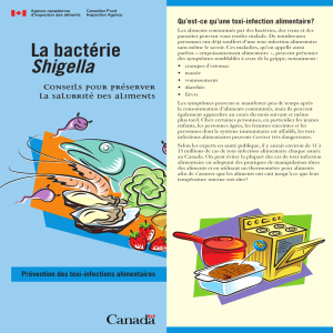 La bactérie Shigella - Publications du gouvernement du Canada