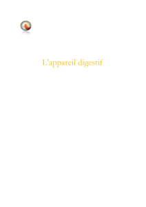 L`appareil digestif - Univ