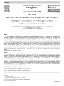 Infection à virus Chikungunya - Institut de la Francophonie pour la