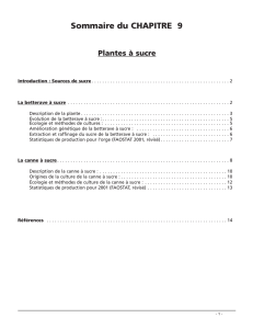 Sommaire du CHAPITRE 9 Plantes à sucre