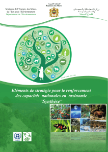 Synthese Elements de Strategie pour le Renforcement des