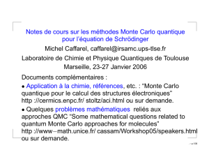 Notes sur les méthodes Monte Carlo quantique pour l`équation de