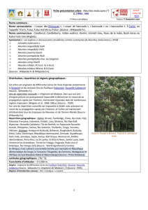 1 ( ) Fiche présentation arbre : Aleurites moluccana (°) Noms