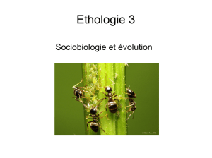 Ethologie 3