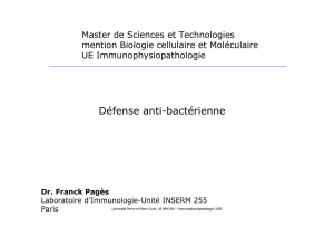 Défense anti-bactérienne - Les pages Web de Adrien Six