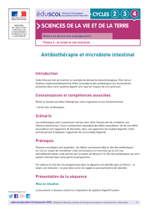 Antibiothérapie et microbiote intestinal