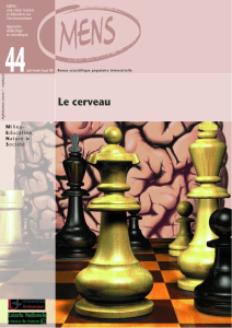 MENS 44 le cerveau:- 57 brein - Bio-Mens