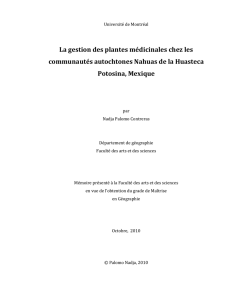 Palomo_Nadja_2011_memoire - Papyrus : Université de Montréal