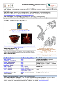 Fiche présentation arbre : Dalbergia trichocarpa (°) Noms communs