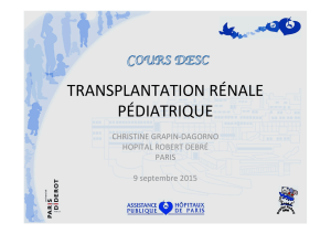Reins - Transplantation Rénale Pédiatrique - Grapin