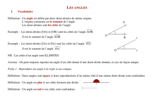 LES ANGLES