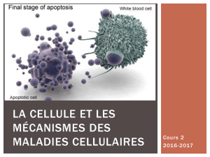 La Cellule et les mécanismes des Maladies cellulaires