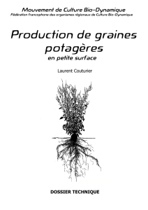 Production de graines potagères