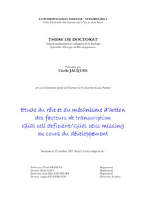 PAGE de GARDE et CITATION - Université De Strasbourg