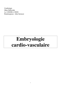 Embryologie cardio-vasculaire