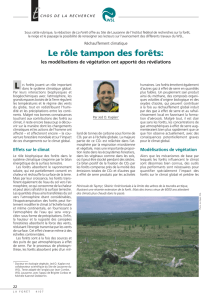 Le rôle tampon des forêts