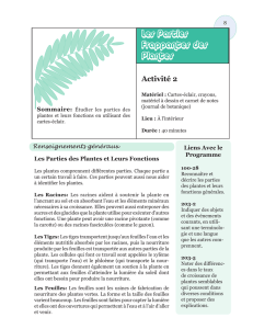 Les Parties Frappantes des Plantes