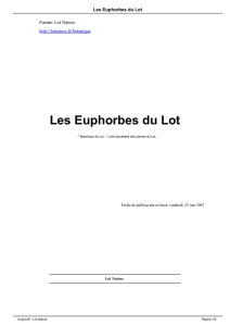 Les Euphorbes du Lot