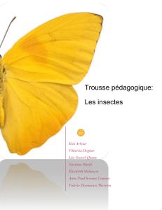 Trousse pédagogique: Les insectes