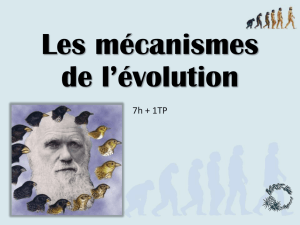 Les mécanismes de l`évolution