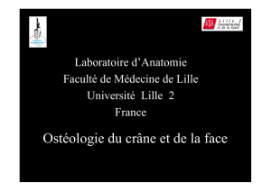 Télécharger ici - Anatmed : Collège Médical Français des