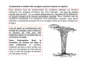 Comprendre la rotation des ouragans (cyclone tropical ou typhon