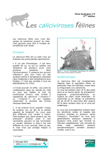 Calicivirose - Merial