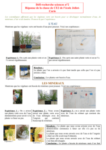 Défi-recherche sciences n°2 Réponse de la classe de CE2 de l