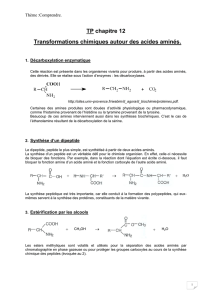 TP chapitre 12 Transformations chimiques autour des acides aminés.