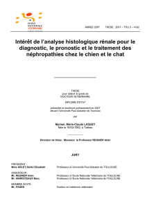 Intérêt de l`analyse histologique rénale pour le diagnostic