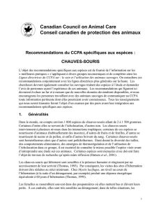 Recommandations du CCPA spécifiques aux espèces : CHAUVES