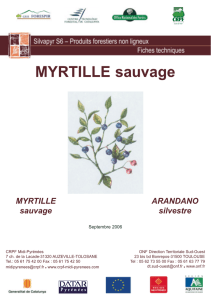 MYRTILLE sauvage - Crpf midi pyrénées Pyr